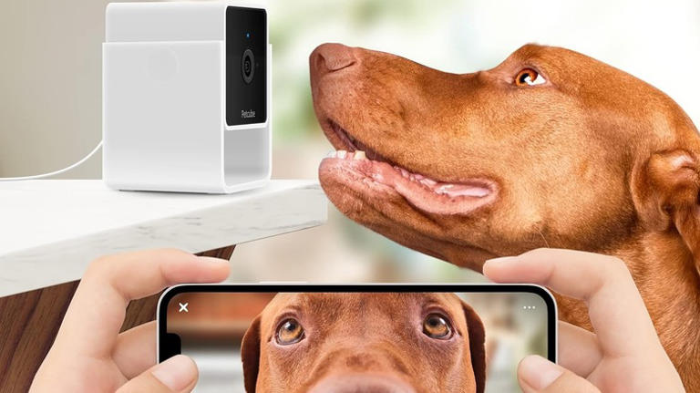 10 Useful Gadgets That Simply Just Work