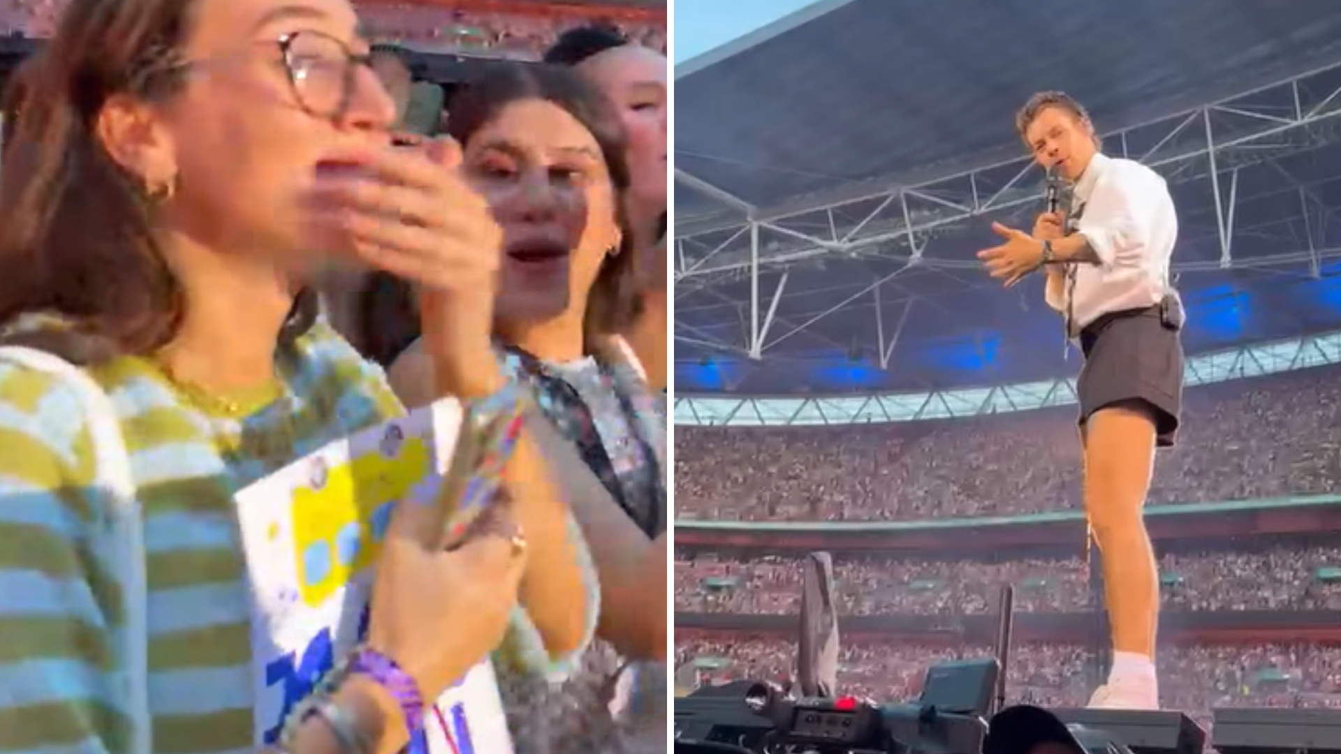 Harry Styles delights fan who works on 'dog bus'