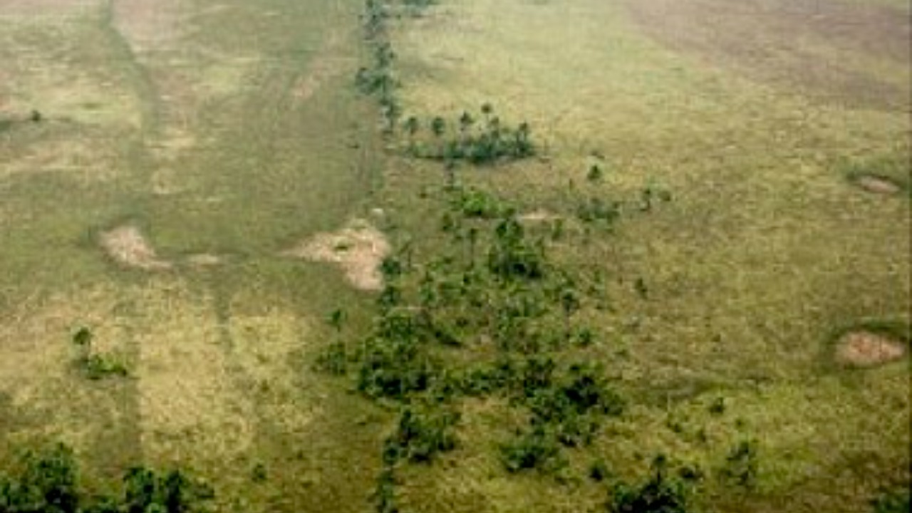 The Amazon cities mapped by laser were laid out with straight streets ...
