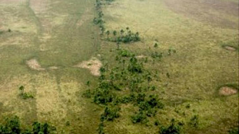 The Amazon cities mapped by laser were laid out with straight streets ...