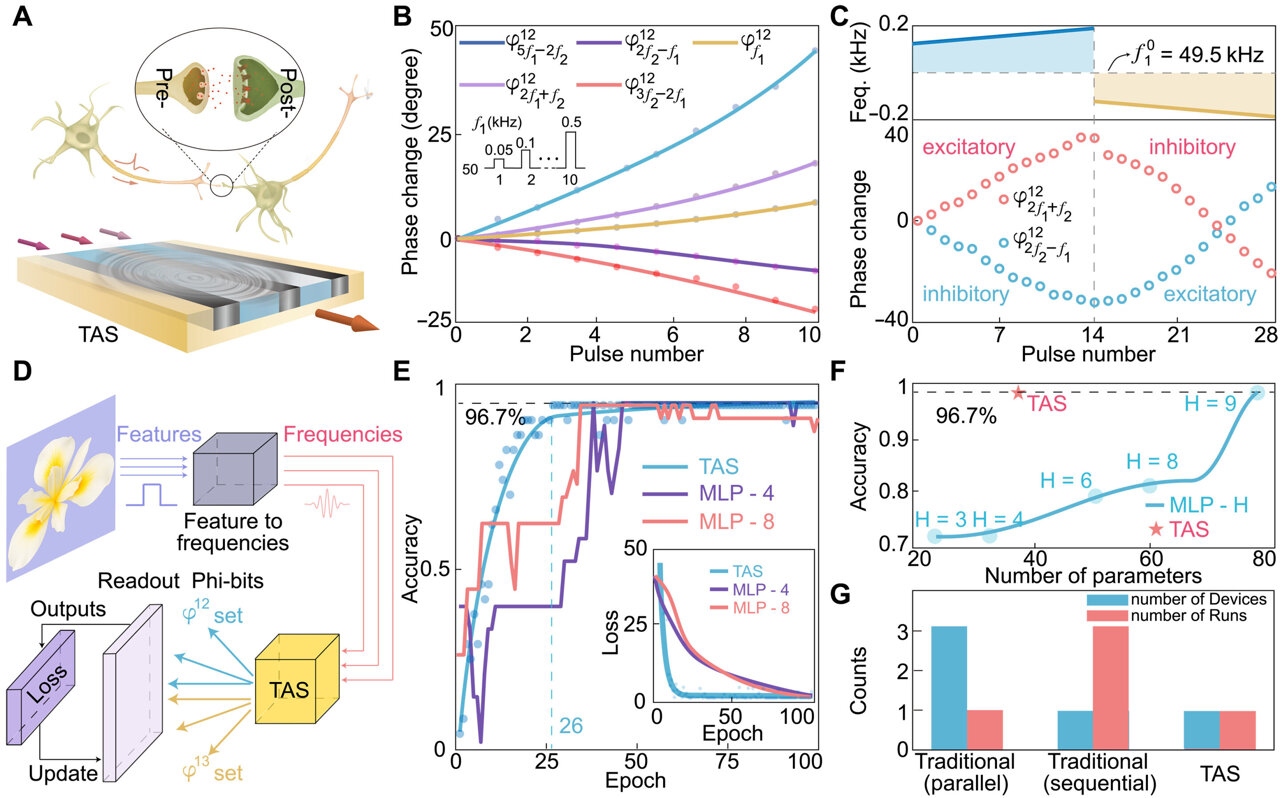 Sound waves could power a new kind of chip inspired by the human brain