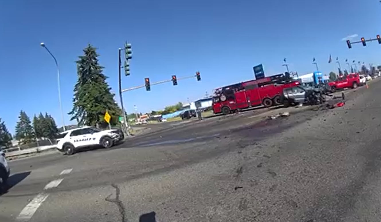 Deputies: Driver flees police, crashes into vehicle with children ...