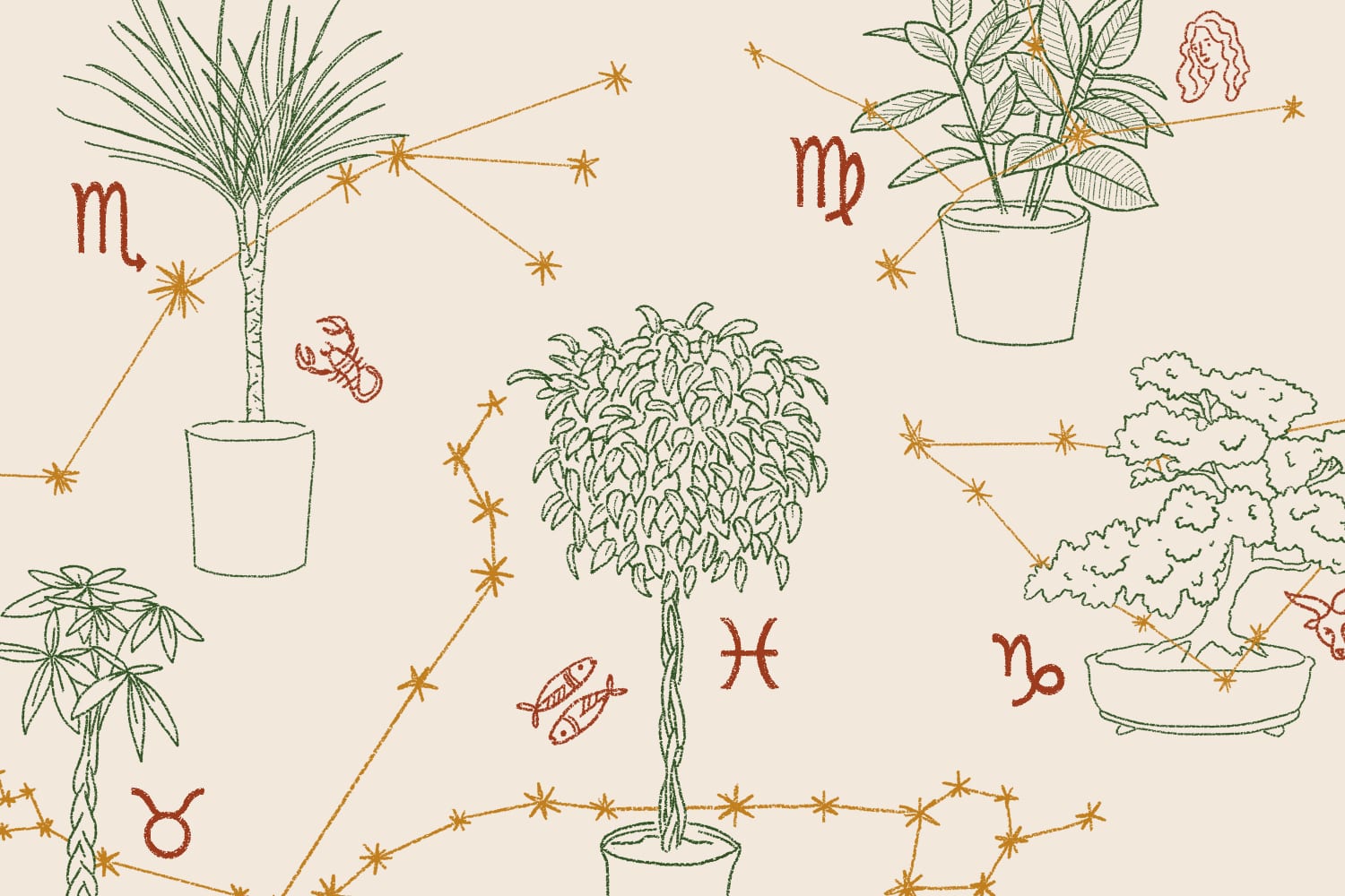 The Best Feng Shui Plants, According to Your Zodiac Sign
