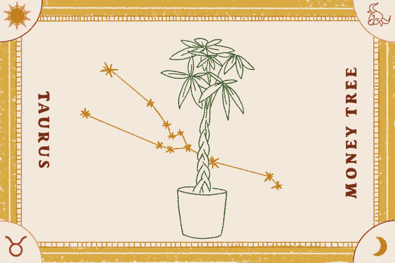 Braided money tree illustration with Taurus constellation, framed by decorative borders and zodiac symbols.