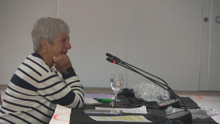 Language review committee shaken by one woman’s story