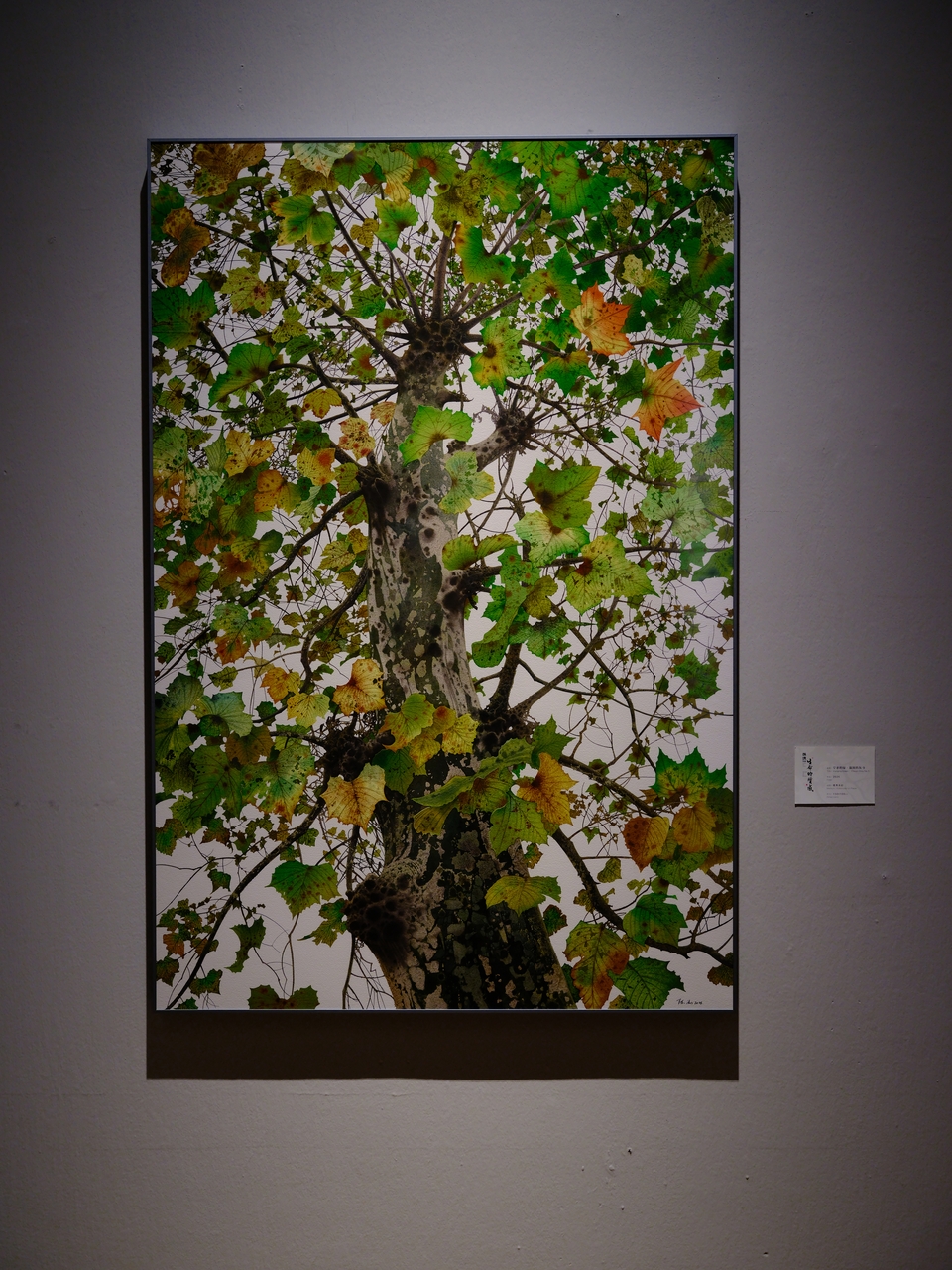 北京：陈流作品展 用最写实的笔画出最旷远的境