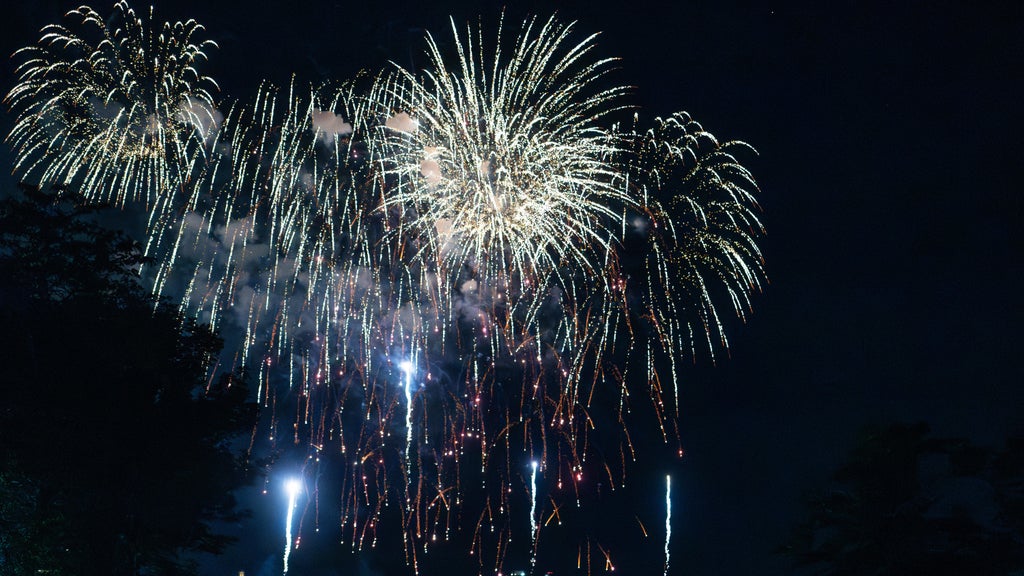 Friday Fourth of July fireworks canceled, rescheduled in Chicago area ...