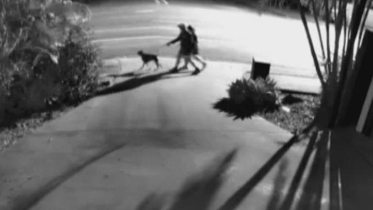 Couple rushed to hospital after dog attack