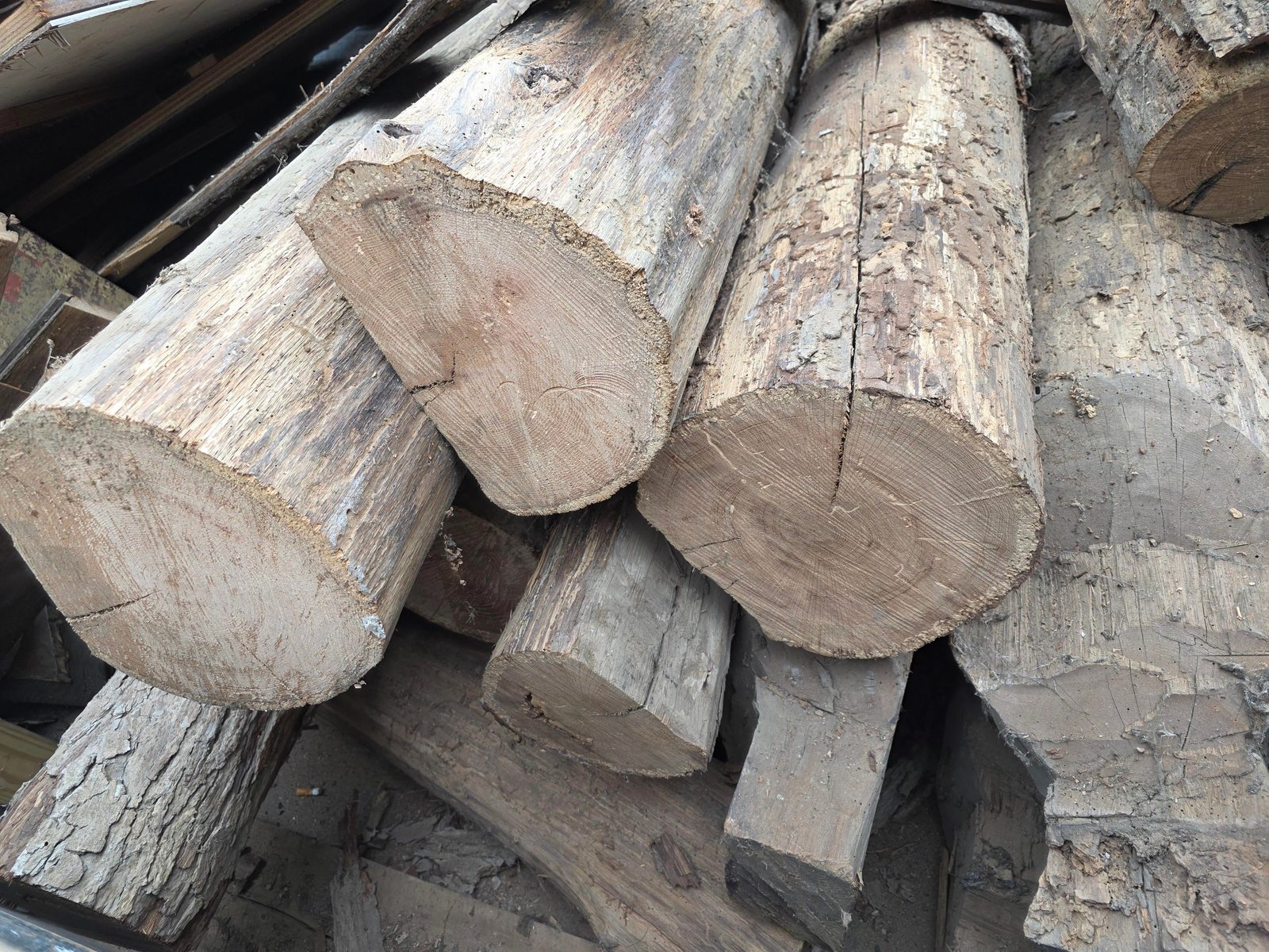 Old-growth lumber cut before 1950 outlasts anything sold at a ...