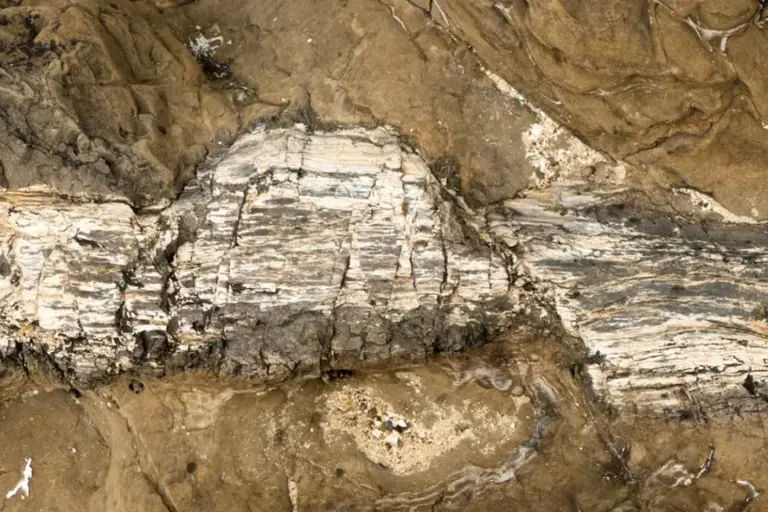 Scientists sifted through a million years of volcanic ash in a remote ...