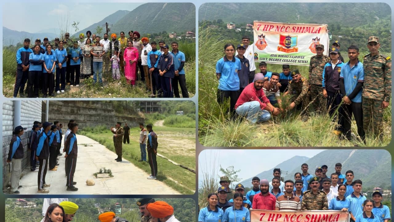 Shimla: Army, NCC, Minority Morcha hold plantation drive in Sunni