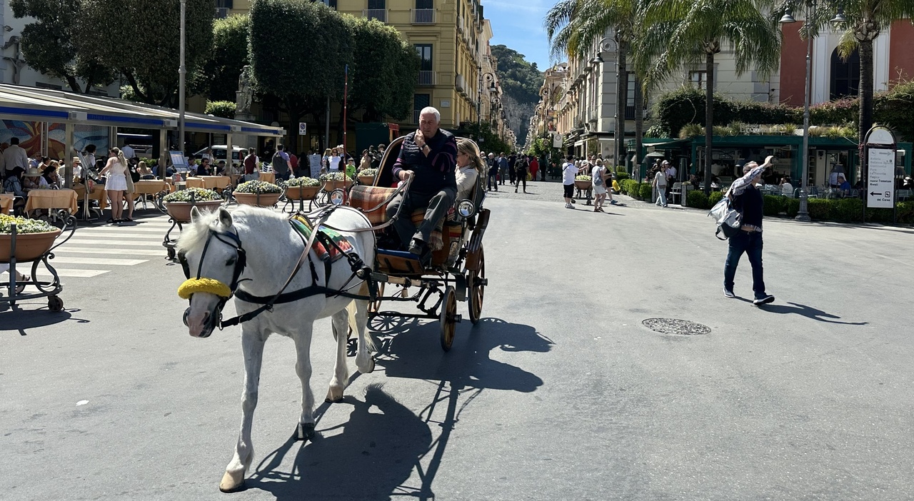 Caldo A Sorrento Stop Alle Carrozzelle Trainate Da Cavalli Nelle Ore 