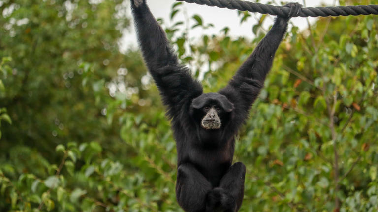 9 of the world's oldest zoos you can still visit