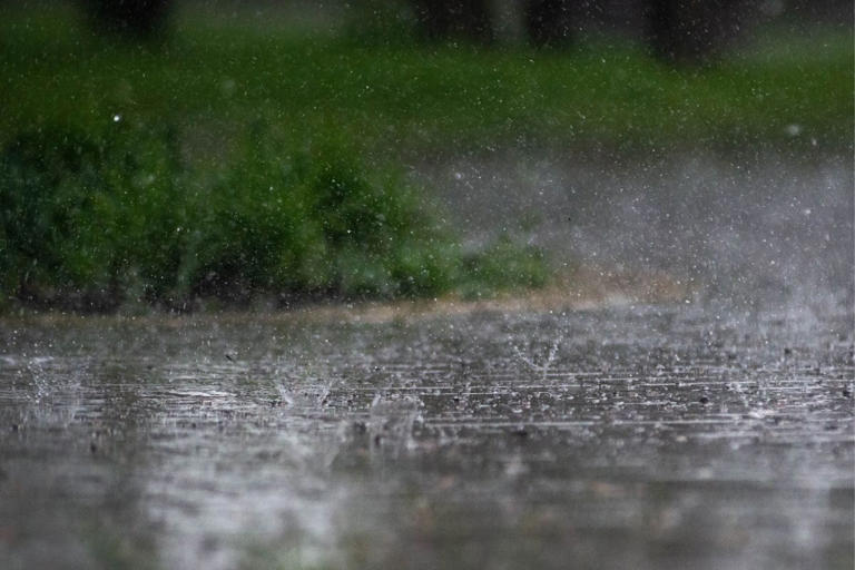 Western Cape braces for heavy rain as cold front set to hit on Sunday