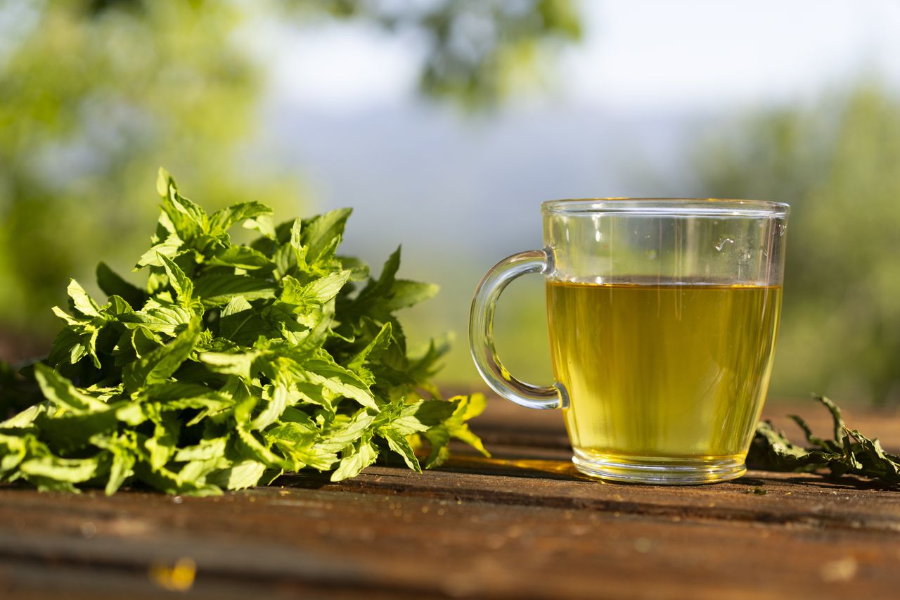 An image of spearmint tea
