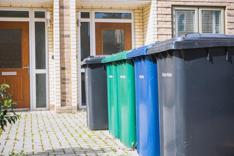 Binman reveals answer to long debated question on if shredded paper ...