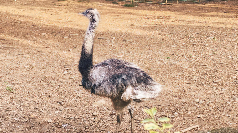 9 of the world's oldest zoos you can still visit