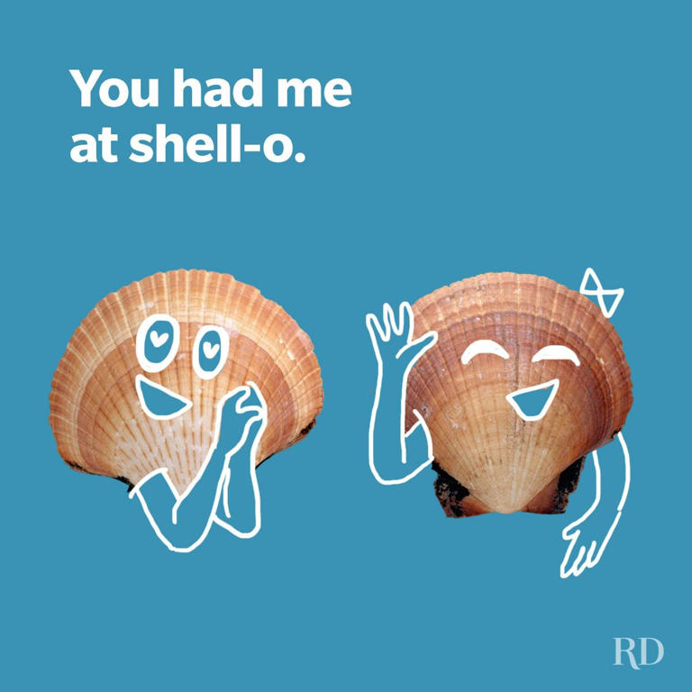 90 beach puns and jokes that are shore to make you laugh