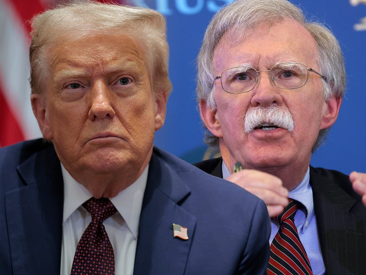 Former Trump adviser John Bolton pleads guilty to mishandling ...