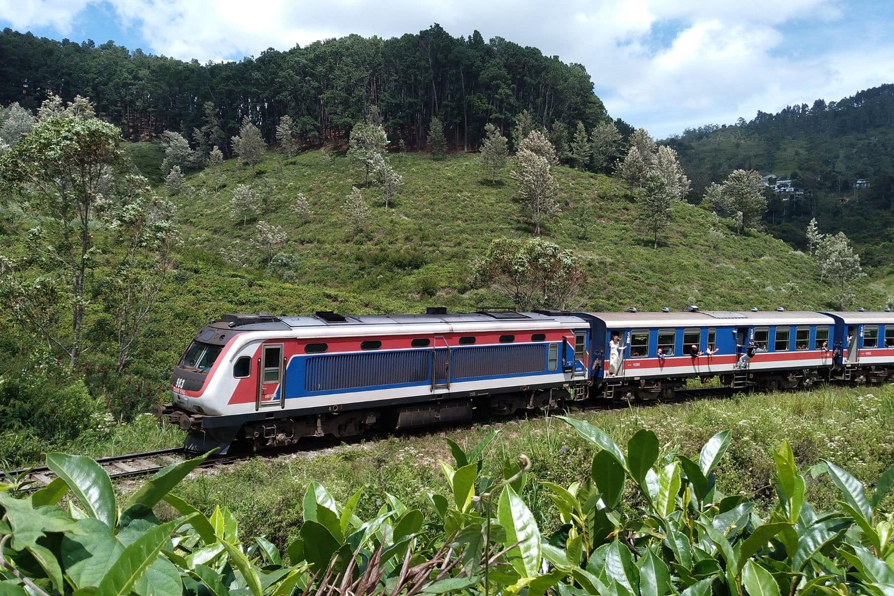 Through tea fields and mist: Sri Lanka’s most beautiful train journey