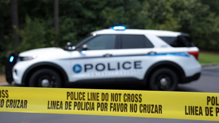 Metro Atlanta officer facing charges over car crash while on duty ...