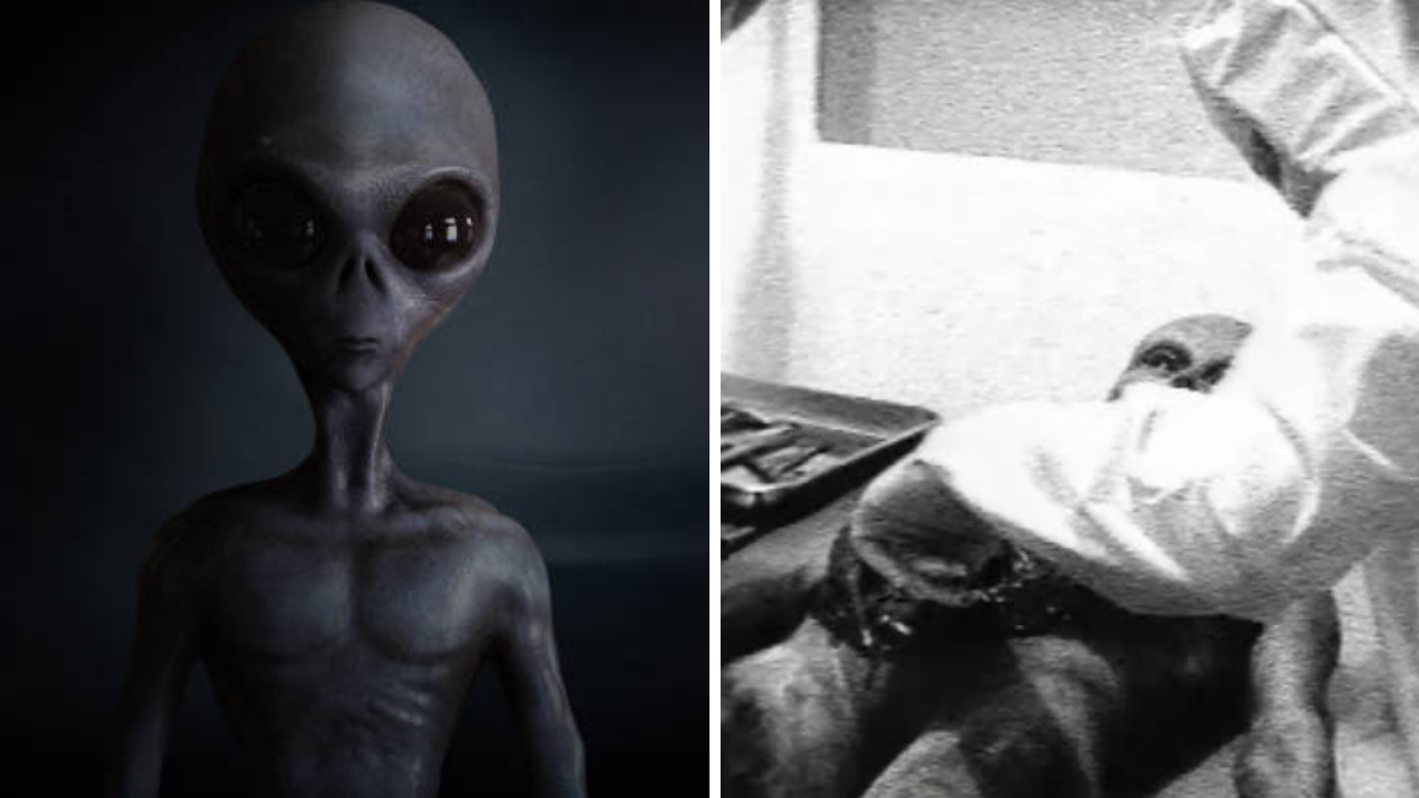 14 alien encounter stories that'll keep you up at night