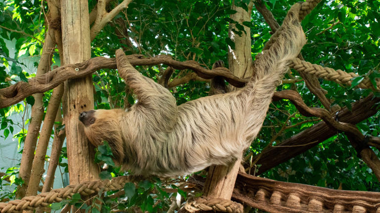 9 of the world's oldest zoos you can still visit