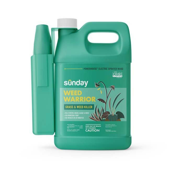 The best weed killers we tested for fast, reliable results