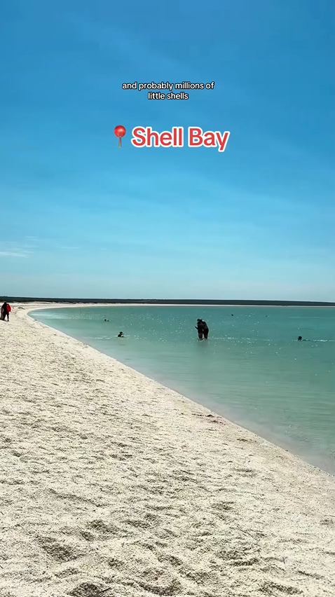 The day we waited for dolphins at Monkey Mia