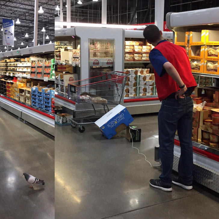 13 hilarious shopping moments that taught strangers some unexpected ...