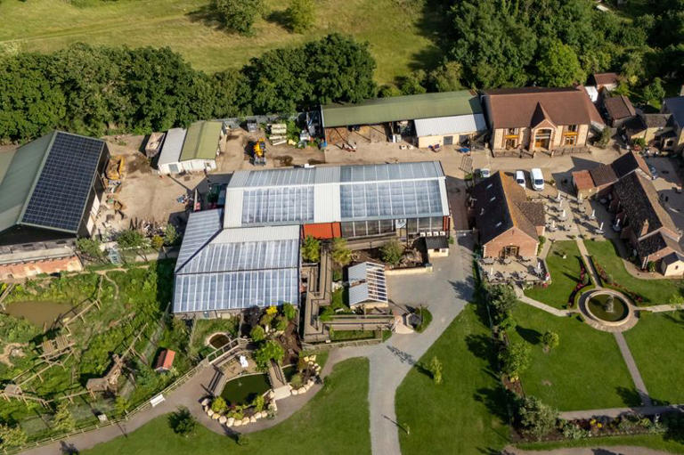 Old Hurst the crocodile farm in Cambridgeshire