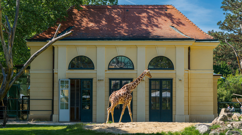 9 of the world's oldest zoos you can still visit