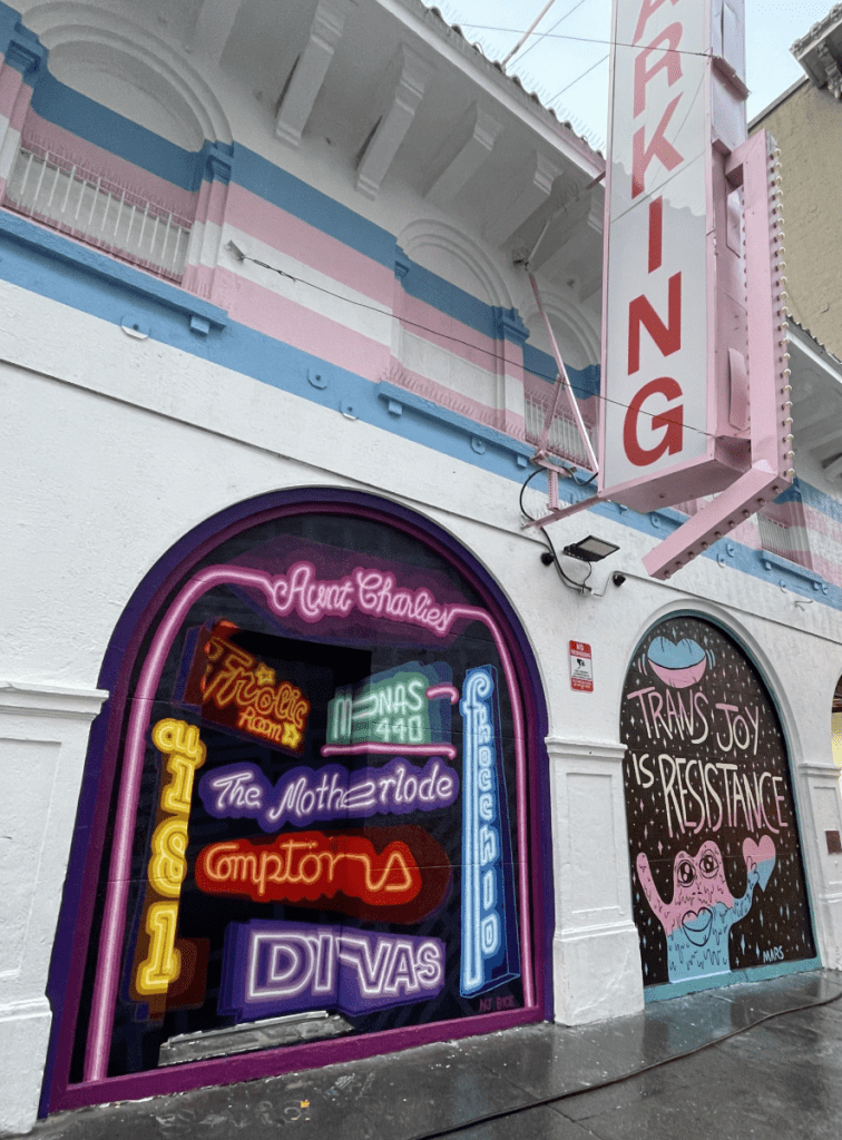 New SF transgender district murals celebrate trans history, culture