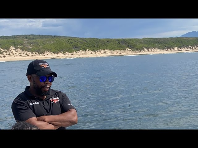 shark-dive-adventure-spotting-joker-the-great-white-in-south-africa