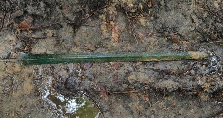 ‘I can’t believe it’: A metal detectorist in northern Poland just found