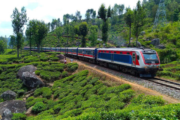 Through tea fields and mist: Sri Lanka’s most beautiful train journey