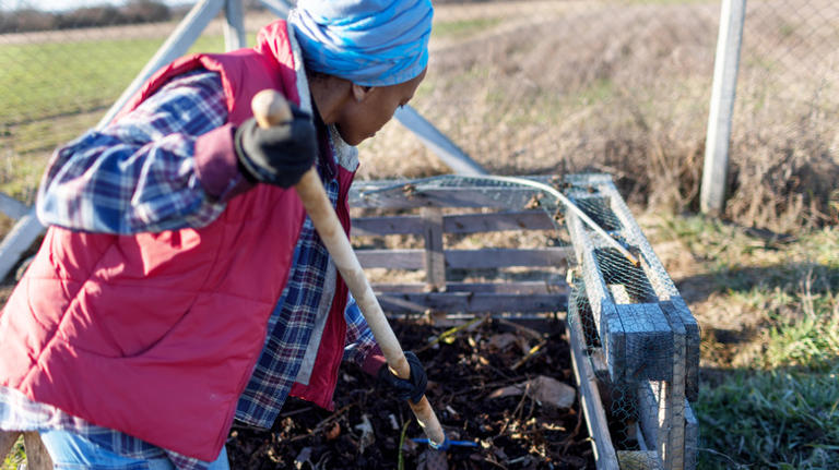 Not coffee grounds, not banana peels: The small kitchen scrap your ...