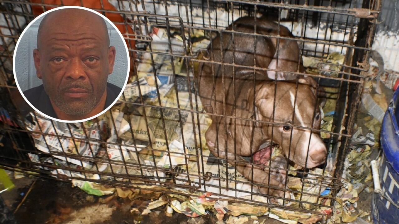Jefferson County man sentenced to 10 years in dog fighting, firearm case