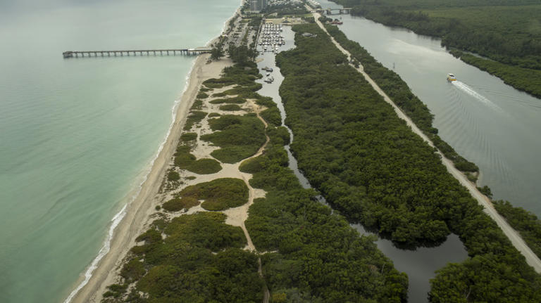 This under-the-radar barrier island park near Fort Lauderdale has ...