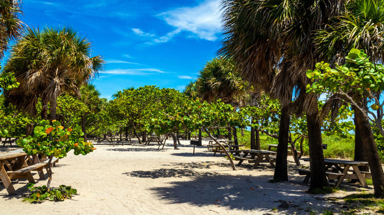 This under-the-radar barrier island park near Fort Lauderdale has ...