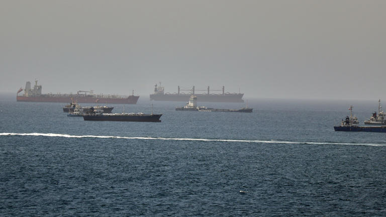 Tankers and cargo vessels are seen in the Gulf of Oman (AP)