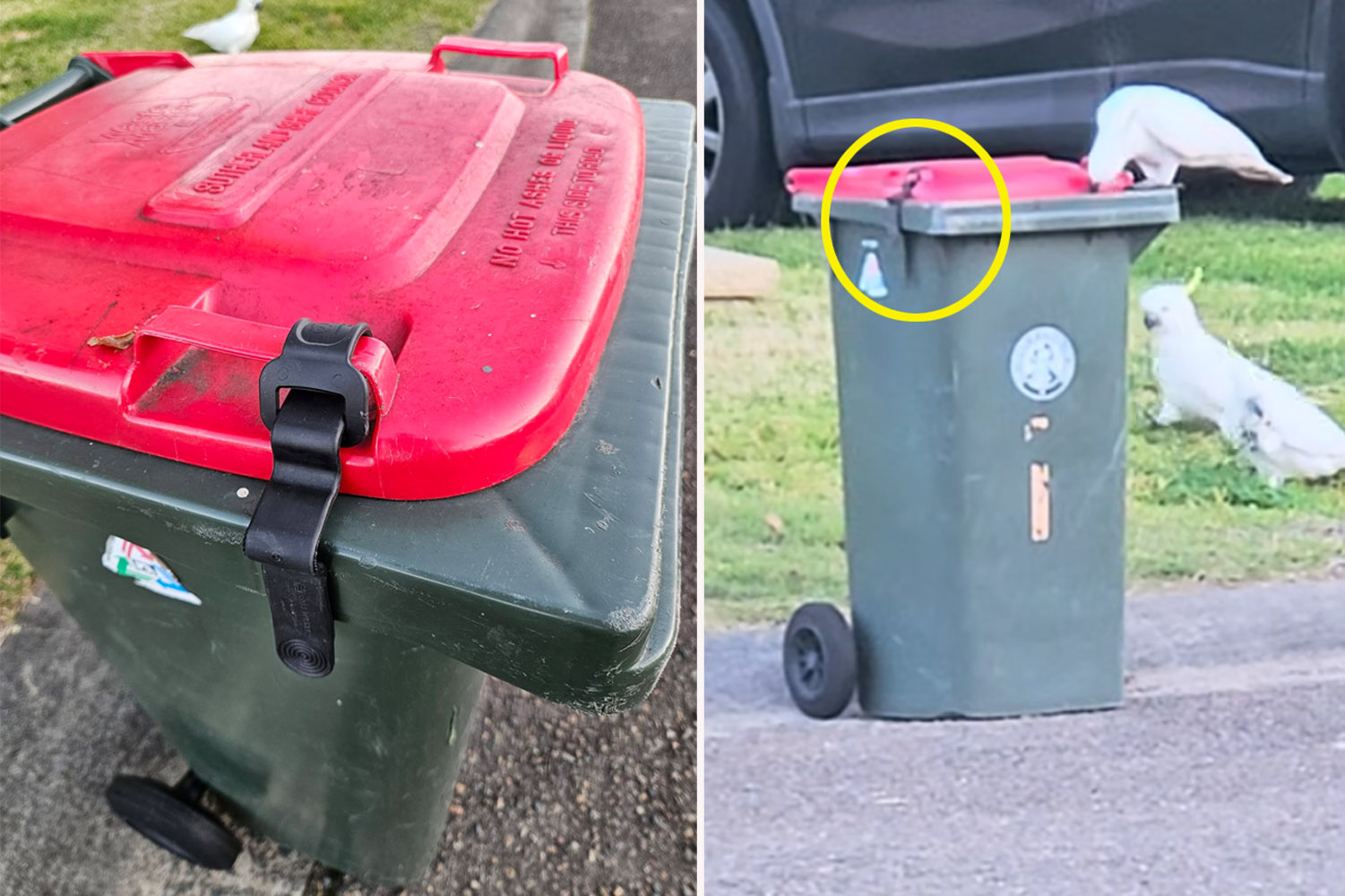 Aussie council offers free solution to frustrating bin problem ...