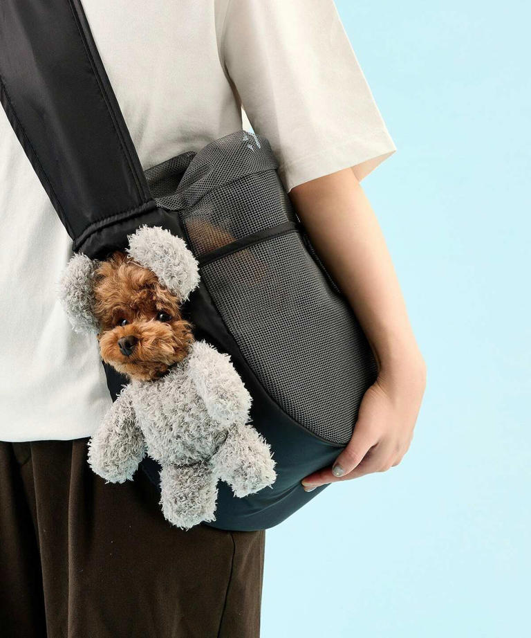 犬猫と夏の外出が快適になる」3COINS〈顔出しベアバッグ〉3520円は保冷