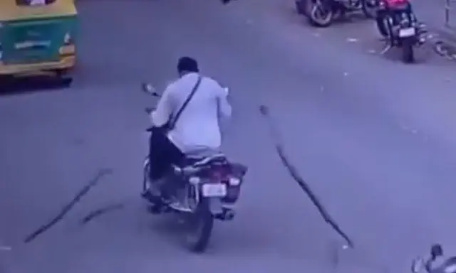 Man severely injured after tree branch falls on him in Bengaluru