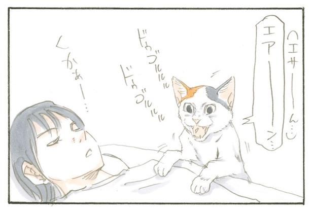 飼い主の耳にもアゴにもガブリ! 強引すぎる猫の「エサちょうだい」アピールがかわいい【書評】