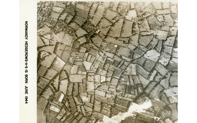 WWII pilot flew over Normandy in 1944—son is sharing photos for first time
