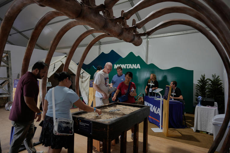 At the Great American State Fair, you can find a dinosaur's rib cage ...