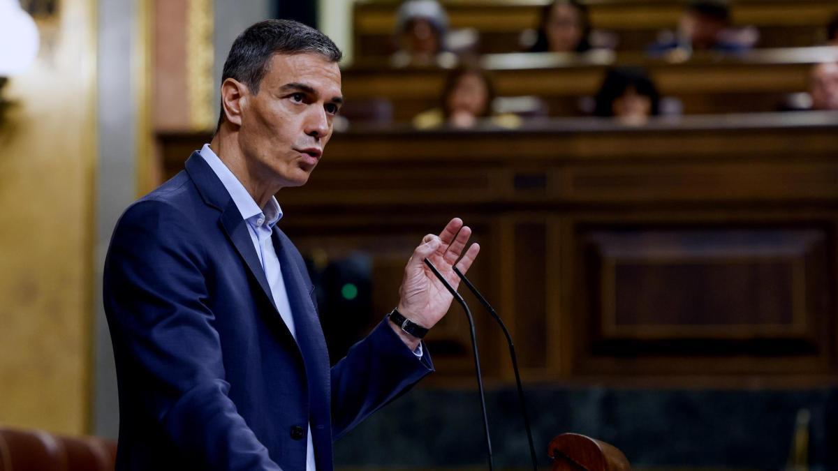 Sánchez interviene en el Comité Federal del PSOE en medio de la ...