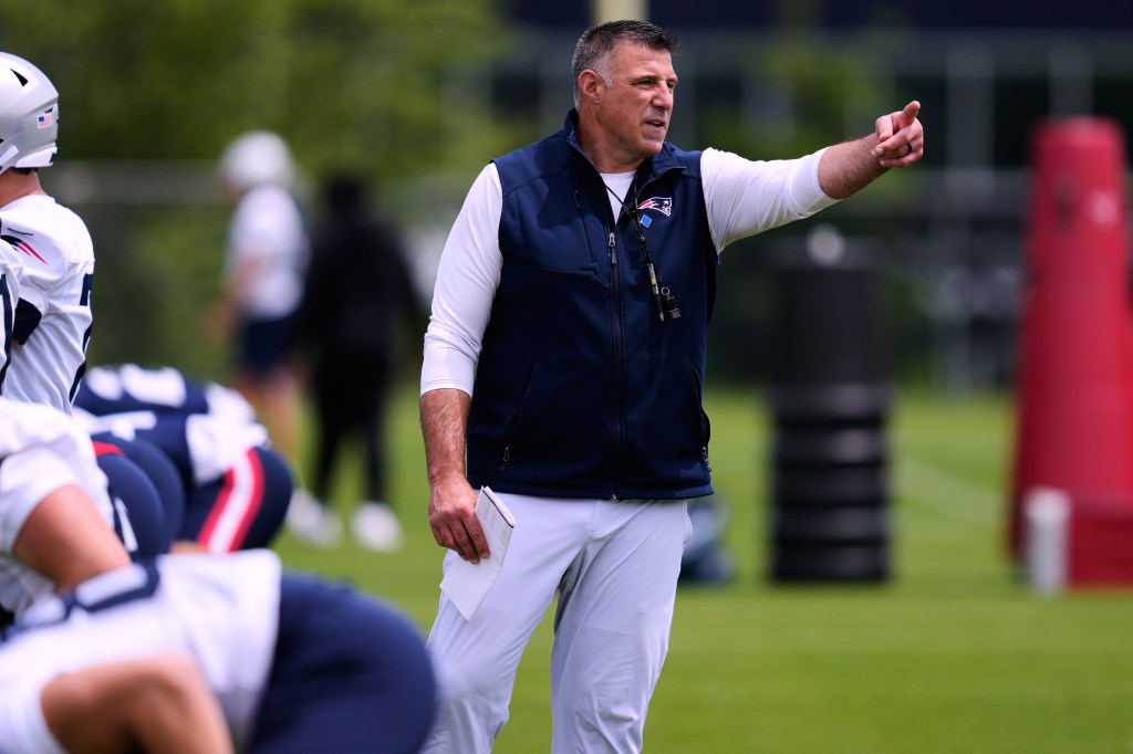 mike vrabel kids Image 2