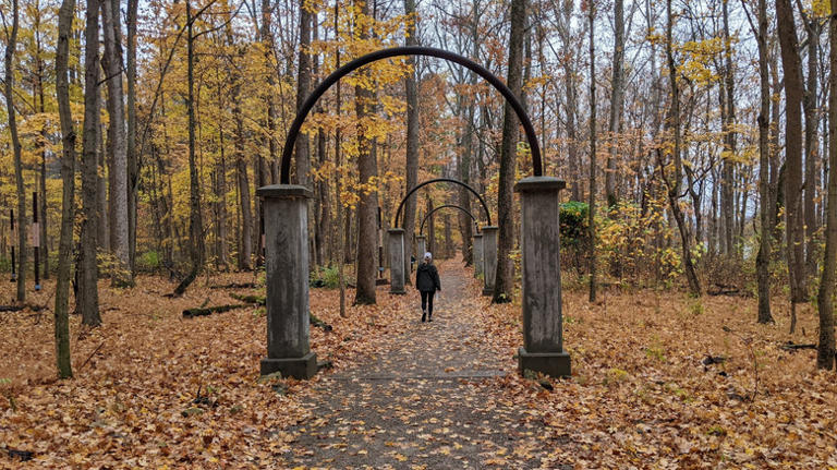 Four Abandoned Midwest Amusement Parks Revealed